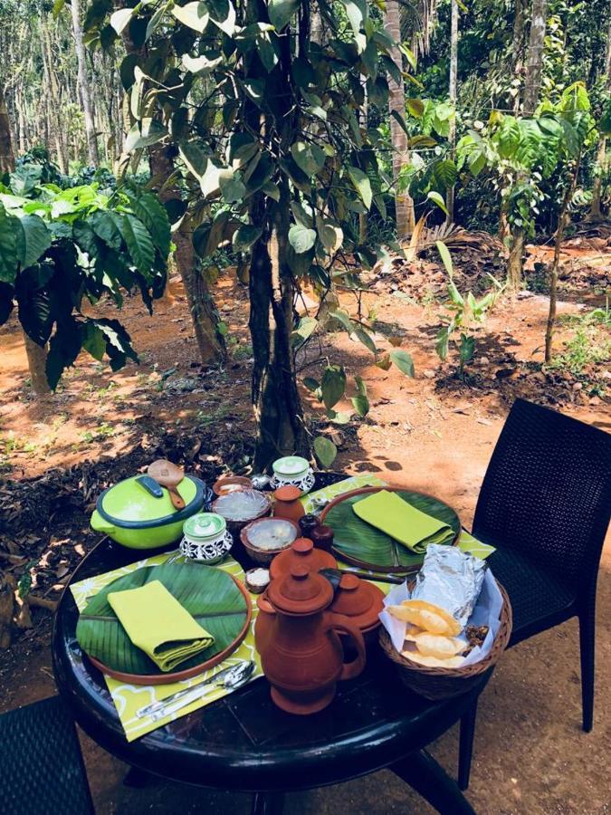 Kerala Wild Stay Kanthalloor Bagian luar foto